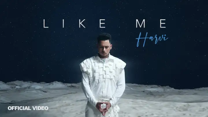 Like Me Lyrics